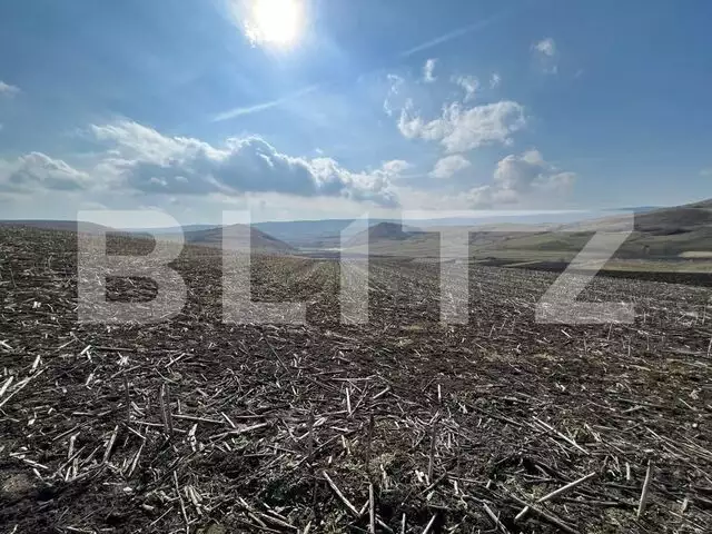 Teren Intravilan la intrare in satul Pata 5700mp la principala 