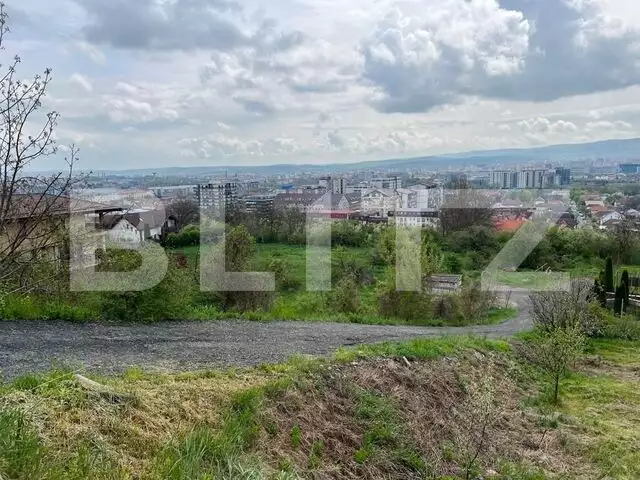 Teren Intravilan cu Puz in Iris 2933 mp