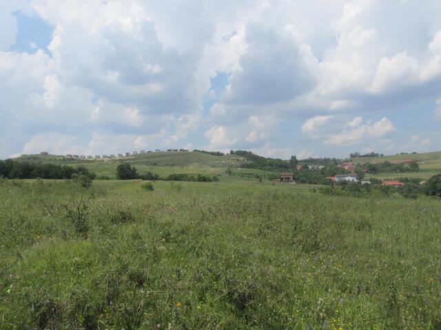 De vanzare teren intravilan, 4000 mp, zona linistita