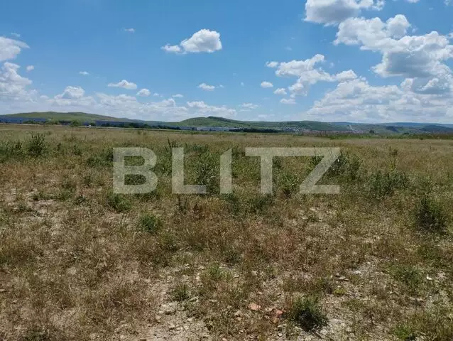 Oportunitate! Teren 12000 mp, cu PUZ, zona centura Apahida-Cluj