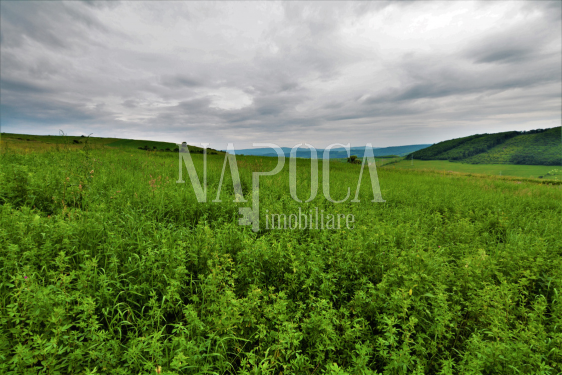 De vanzare teren, 8150 m<sup>2</sup> in Valea Seaca - PropertyBook