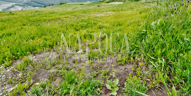 Vanzare teren, 2900 m<sup>2</sup> in Valea Seaca