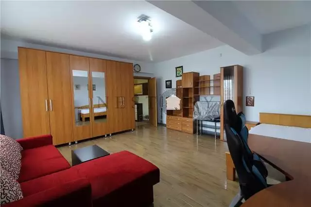 Apartament spatios cu o camera, 50 mp, parcare, Plopilor, Colegiul Medicilor