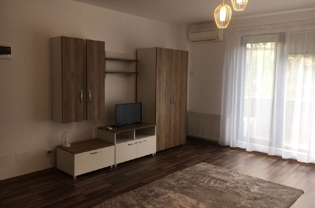 Inchiriere apartament, o camera, in Cluj-Napoca, zona Dambul Rotund