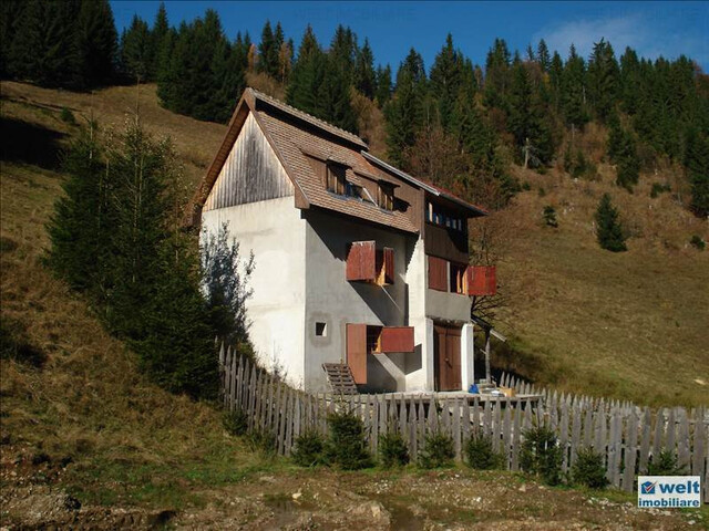 Vanzare casa familiala cu CF, 500 mp curte, zona Muntele Baisorii